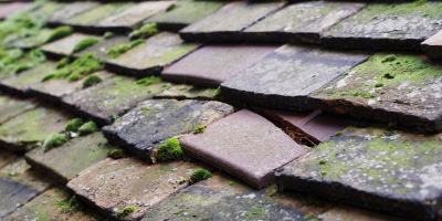 Hankham roof repair costs